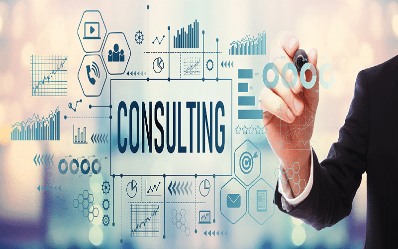 expert consulting services